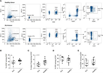 Naïve Regulatory T Cell Subset Is Altered in X-Linked Agammaglobulinemia